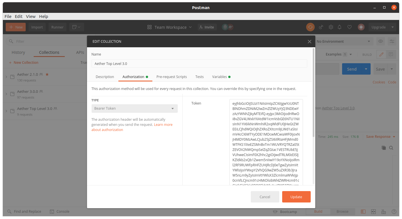 Postman showing Authentication Token pasted in